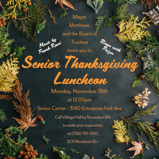 Senior Luncheon Flyer 
