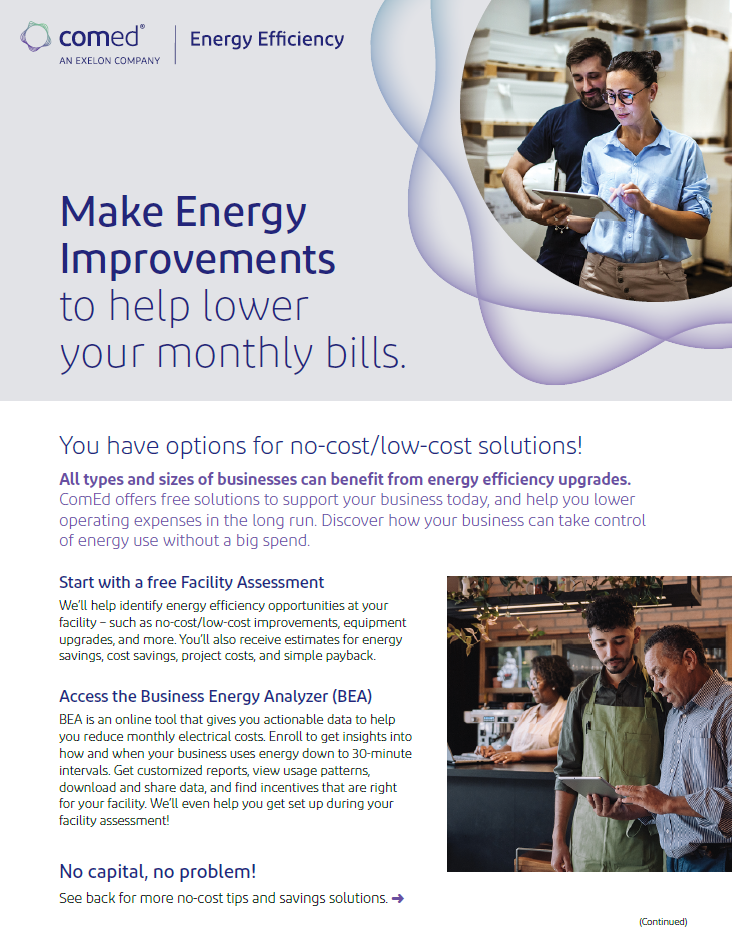 ComEd Energy Efficient Flyer