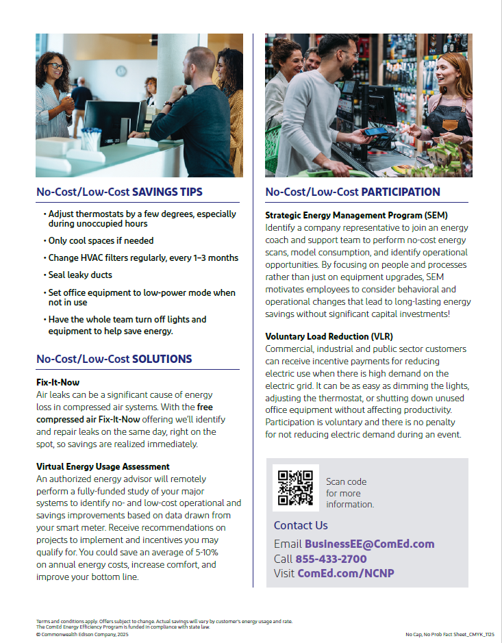 ComEd Energy Efficient Flyer